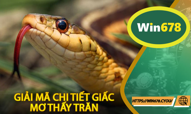 Giải Mã Chi Tiết Giấc Mơ Thấy Trăn Và Con Số Tương Ứng